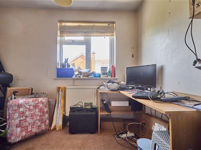 Picture 14